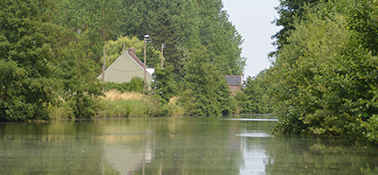 Marché du Terroir