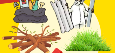 Info dépôts sauvages