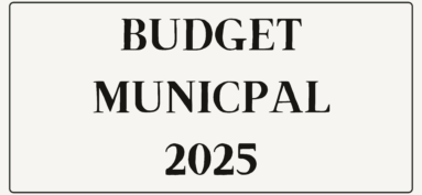 BUDGET 2025
