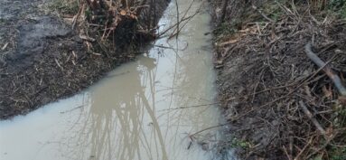 TRAVAUX DIVERS 2024